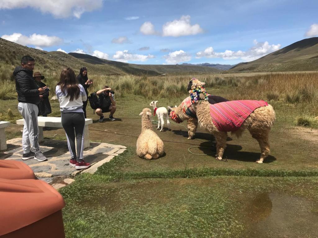 Bed and Breakfast Amazing Huaraz Exterior foto