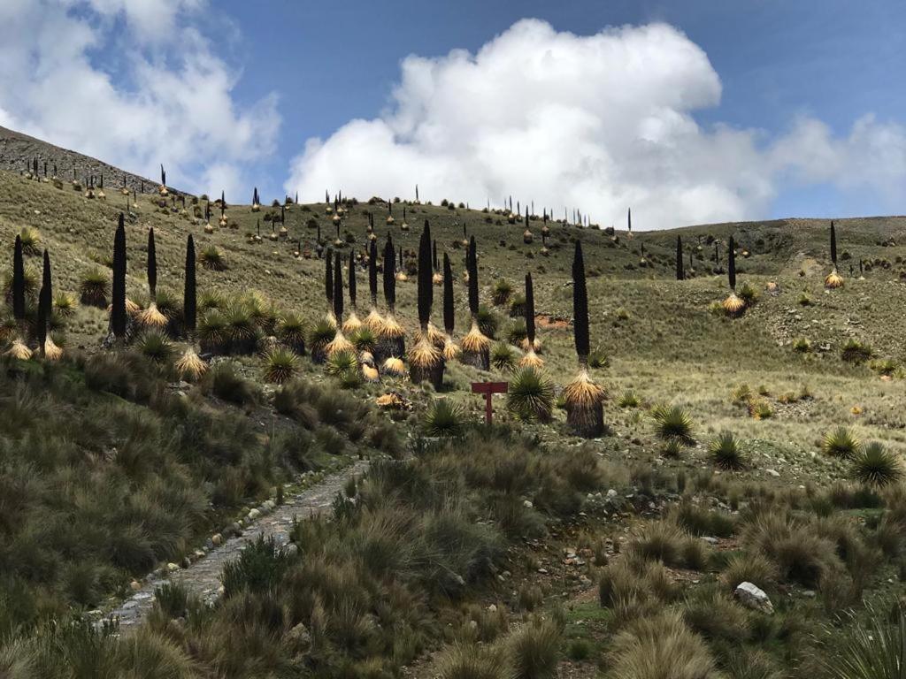 Bed and Breakfast Amazing Huaraz Exterior foto
