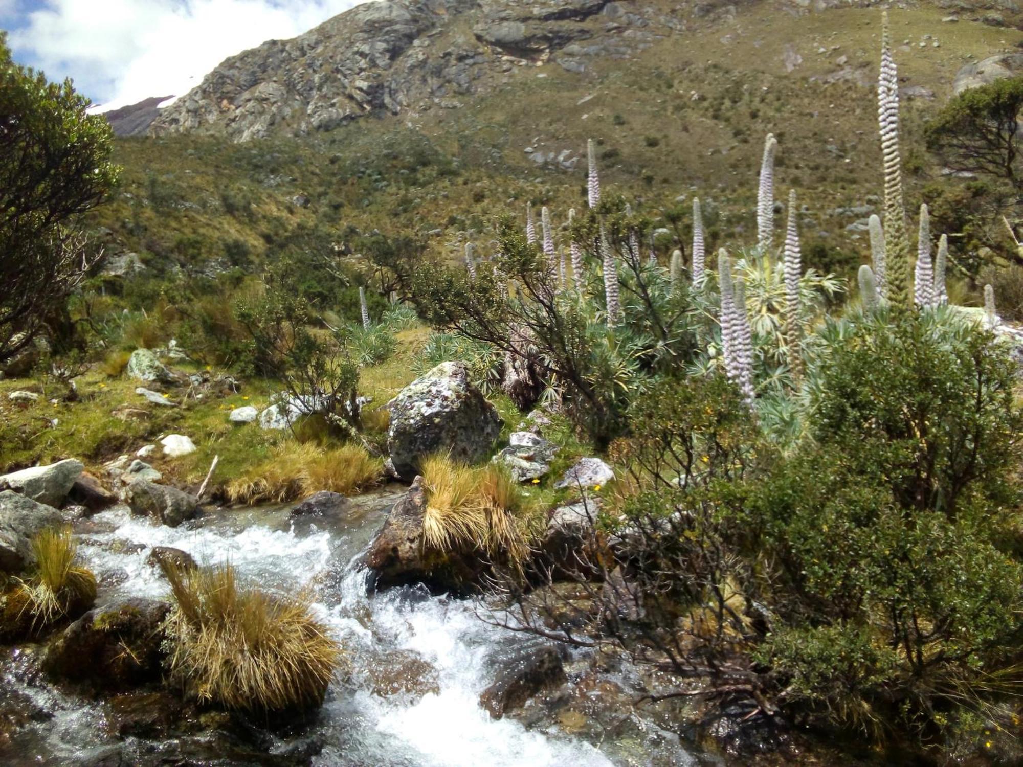Bed and Breakfast Amazing Huaraz Exterior foto