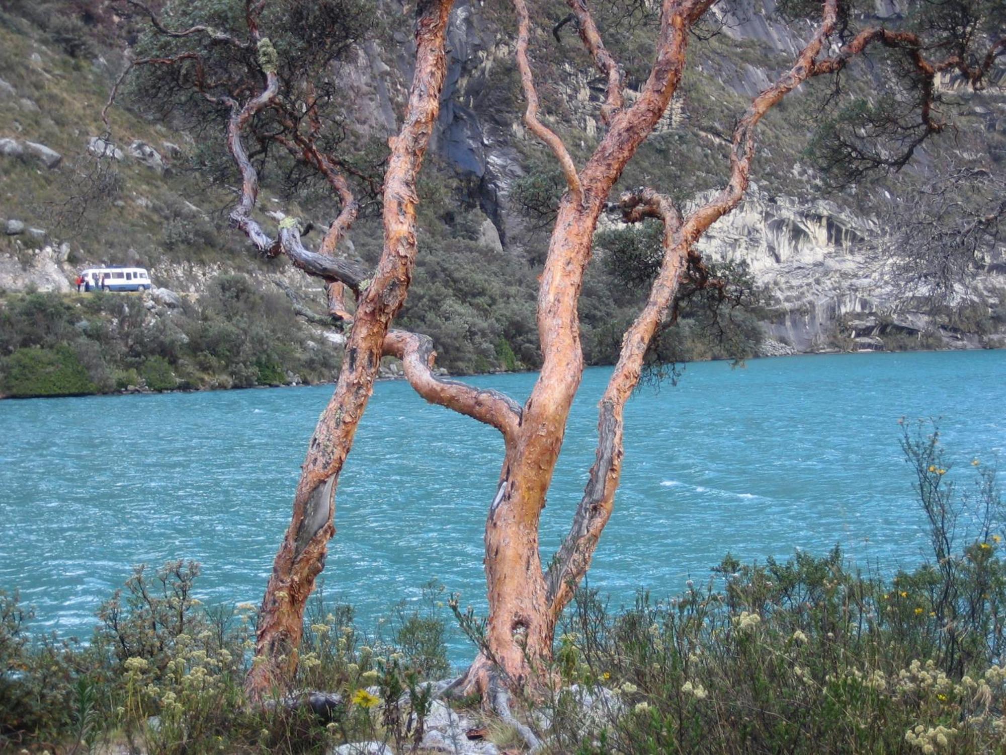 Bed and Breakfast Amazing Huaraz Exterior foto